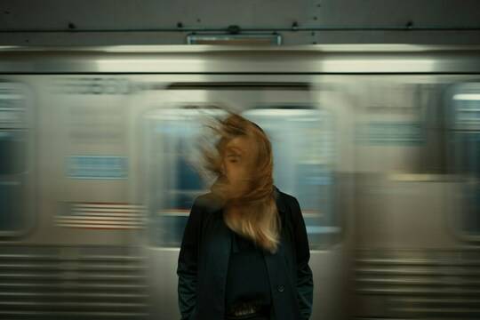 The Journey, 2019
