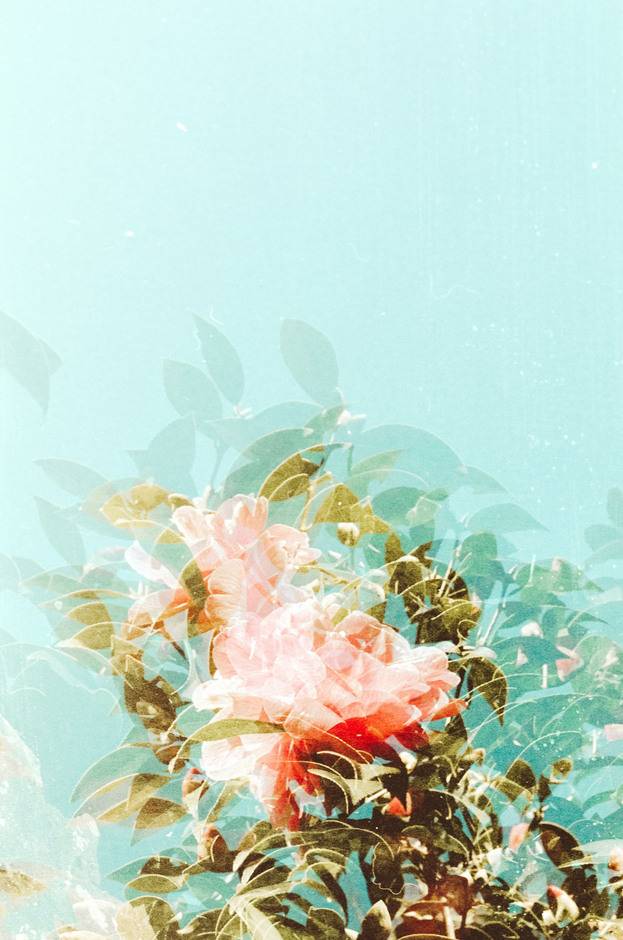 Sinking, 2023