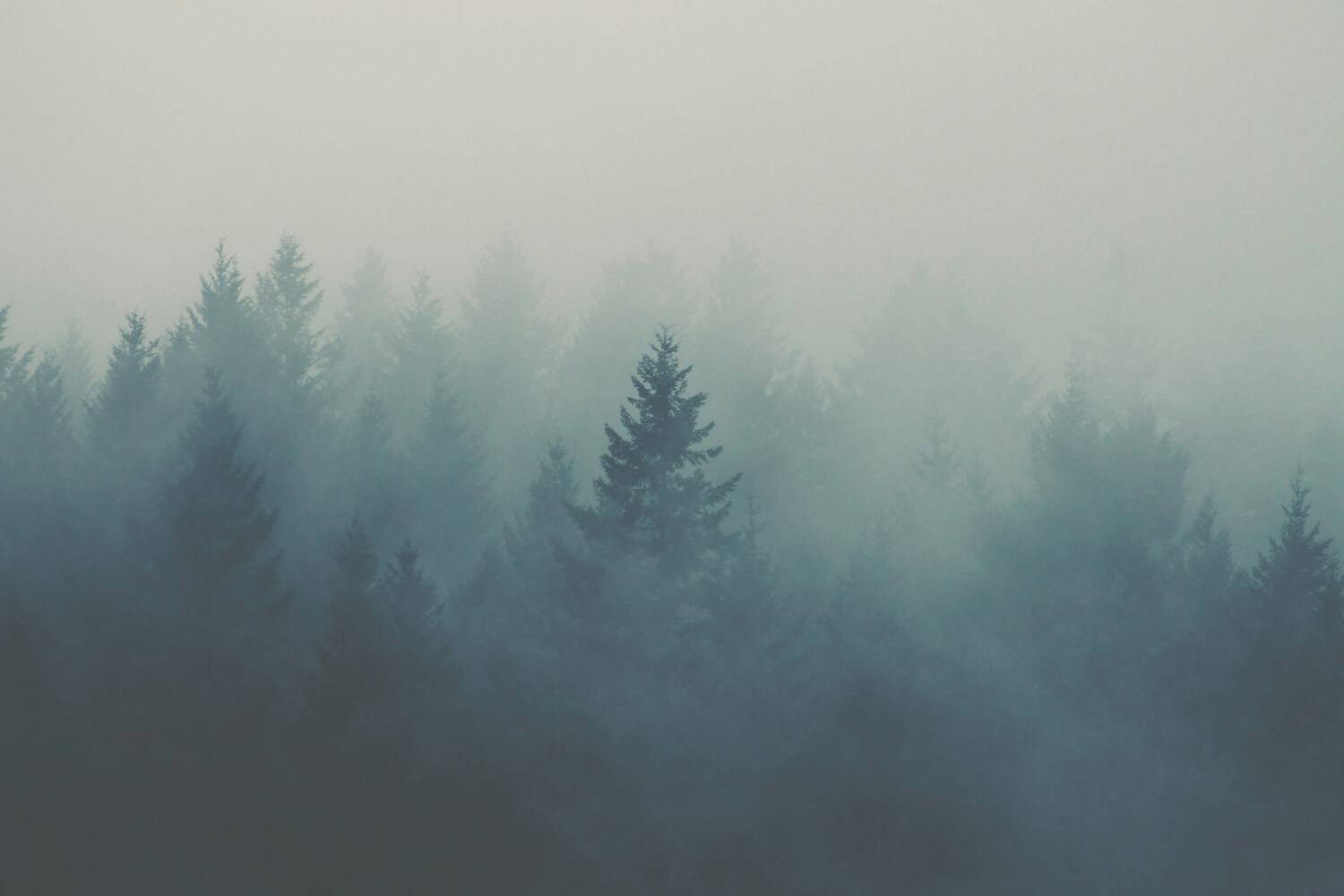 Nature's Voice